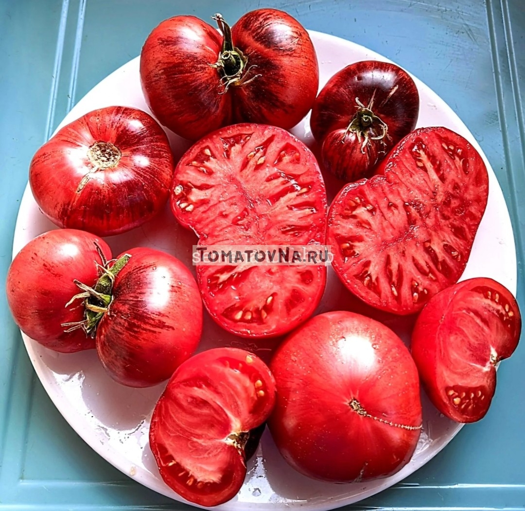 Томат Убеждение семена