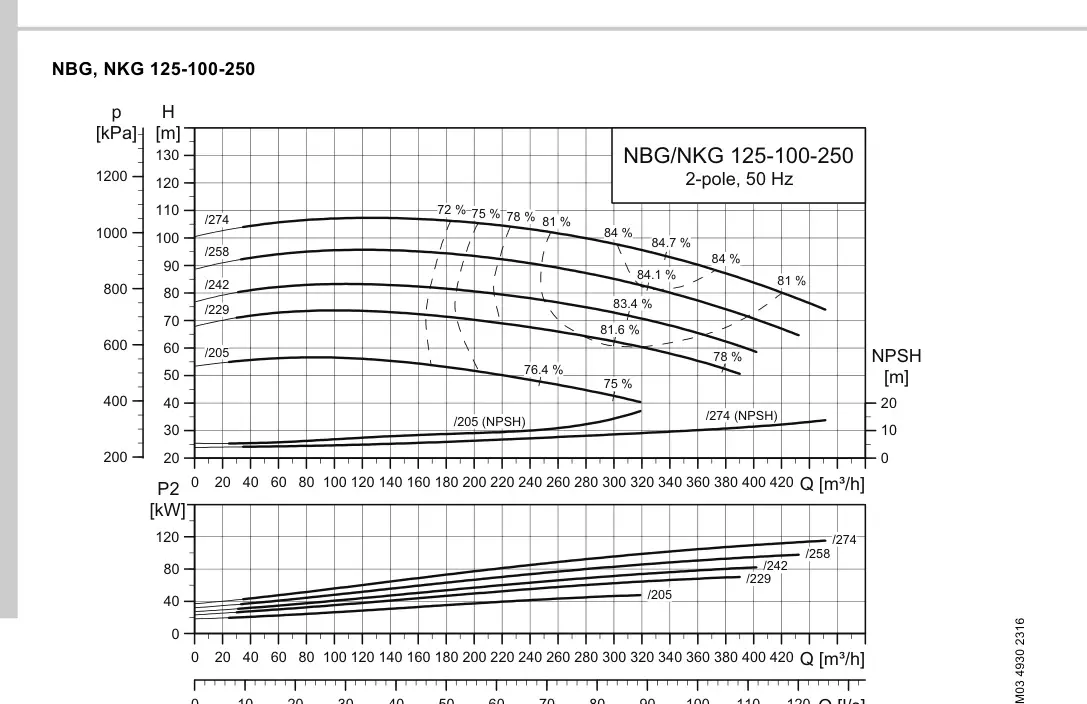 График работы насоса NK 100-250/205 EUP A2-F2-A-E-BAQE