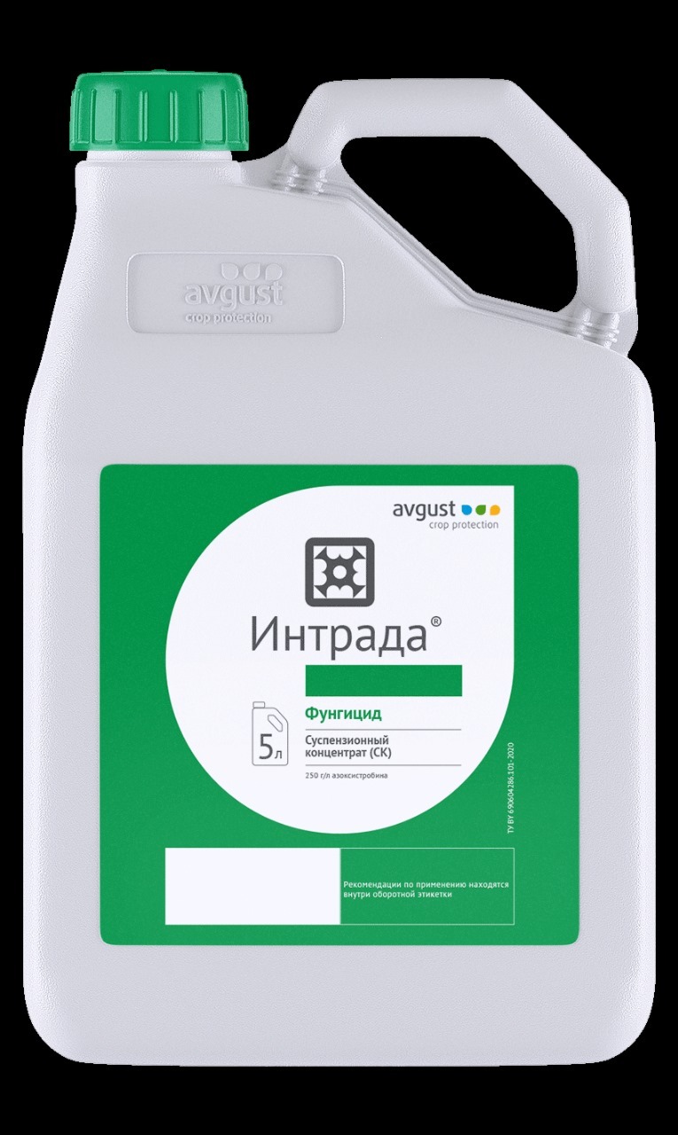 Пропишанс универсал фунгицид. Интрада фунгицид. Пропиконазол. Азоксистробин.