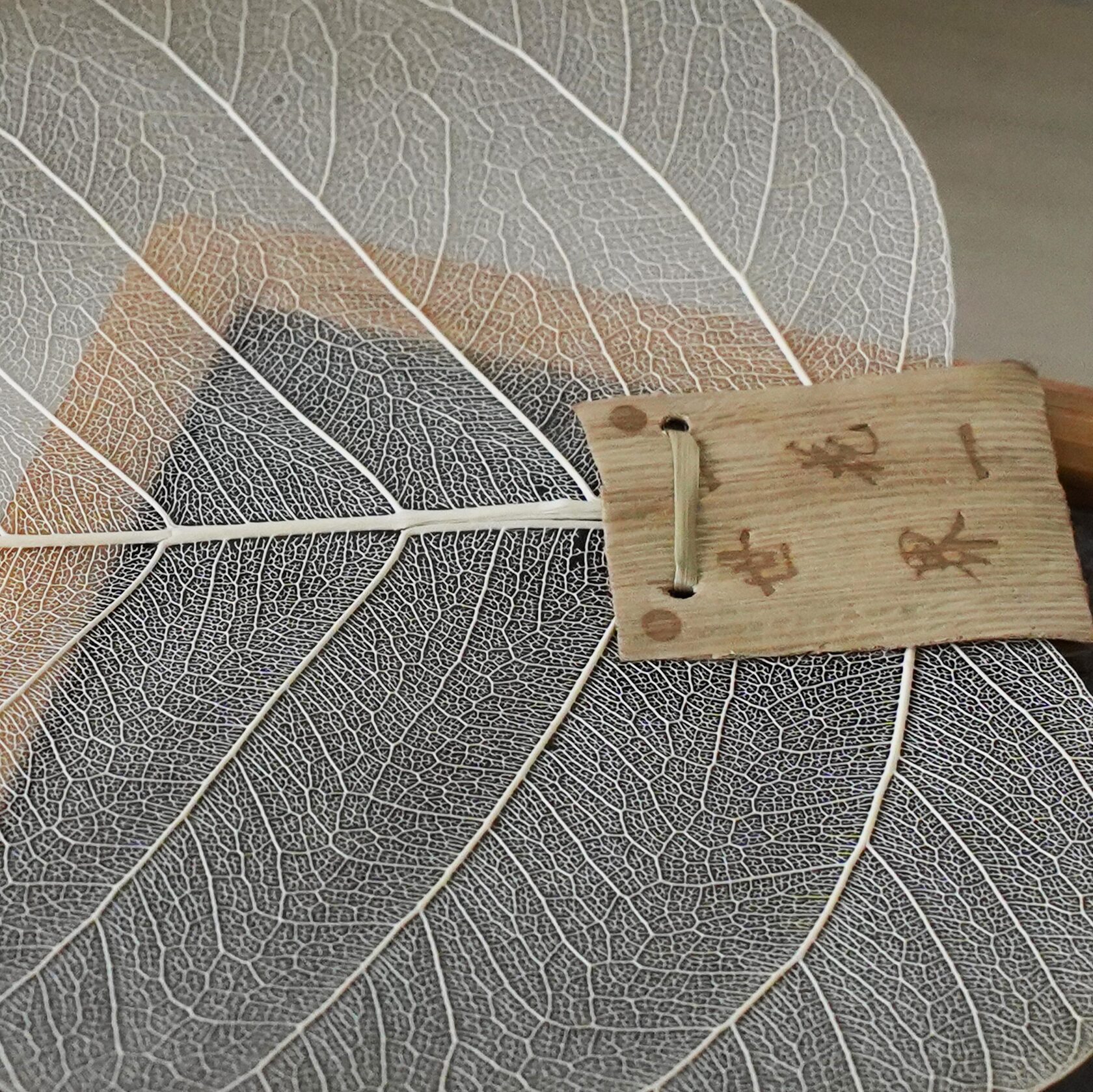 природное сито из листа бодхи