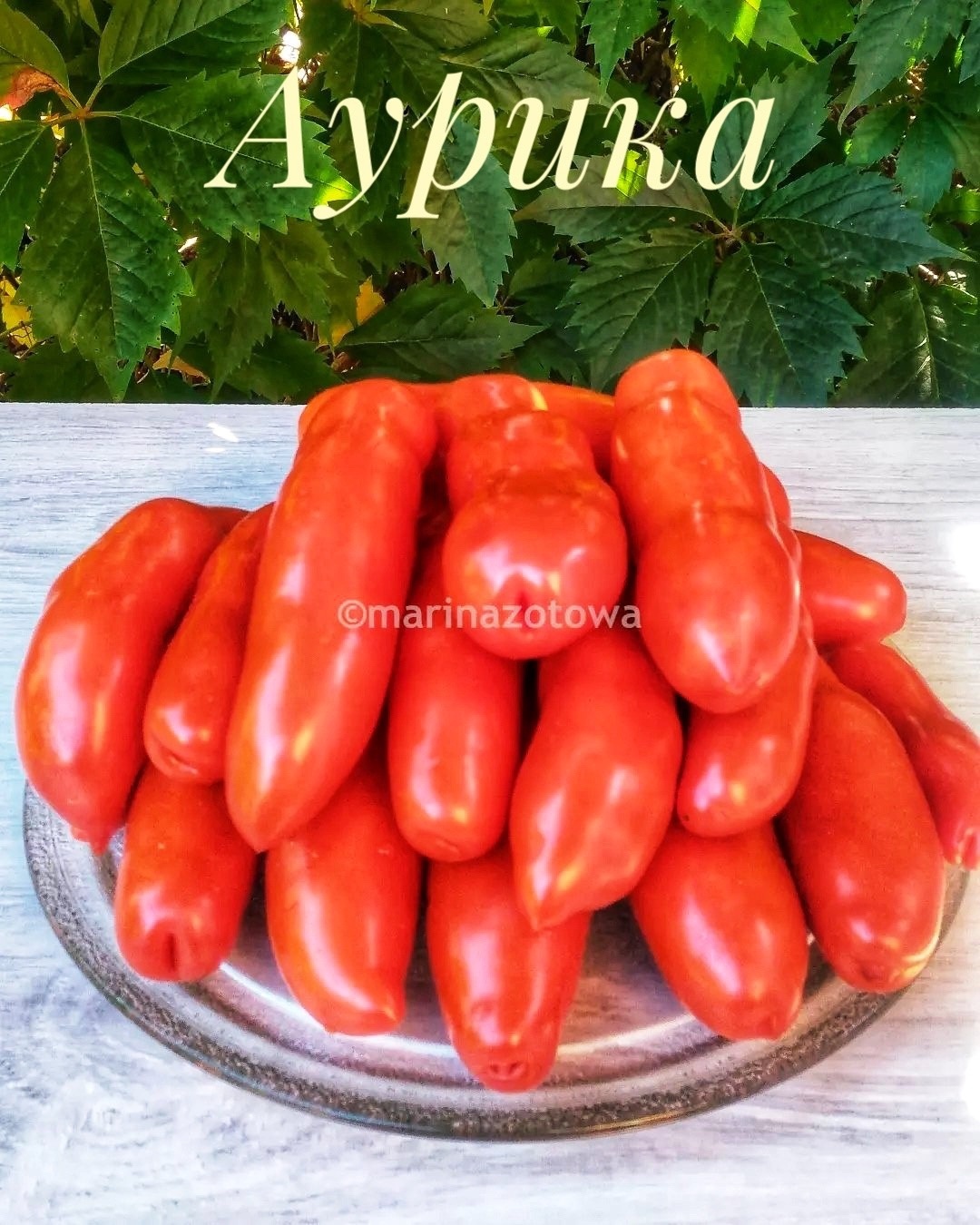 Аурика