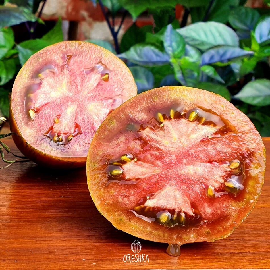 Tomato Kozula-90 fresh seeds, Tomato seeds | Oreshka seeds