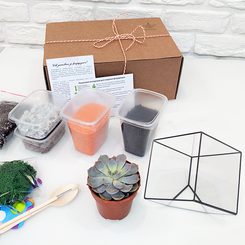 Набор для создания флорариума Куб S