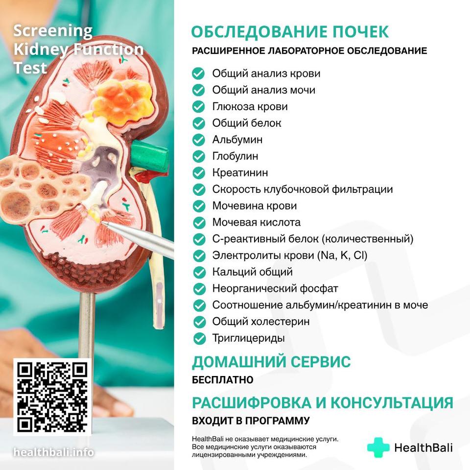 Обследование почек – Состав программы