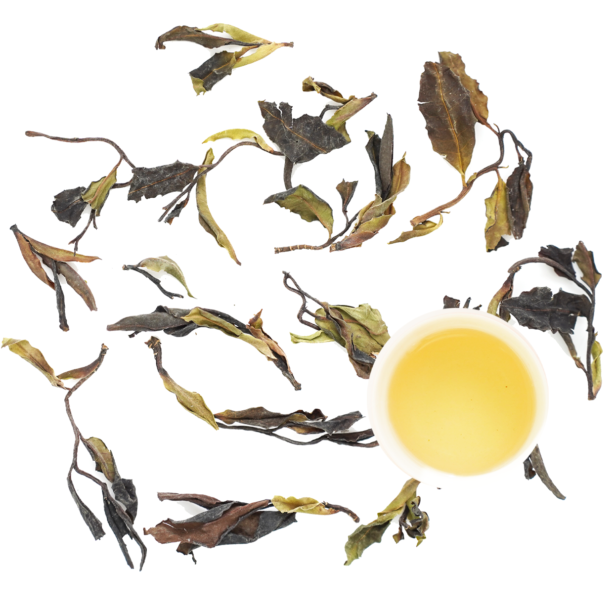 дикий лимонад е шэн гу шу 2024