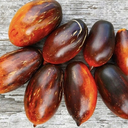 Heirloom tomato varieties — Oreshka Seeds collection