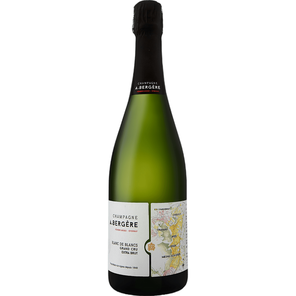 Шампанское белое экстра брют. Blanc de Blanc Brut Solera. Вино игристое Пьер Ларусс белое брют. Remy Leroy Brut nature. A. Bergere Brut origine.