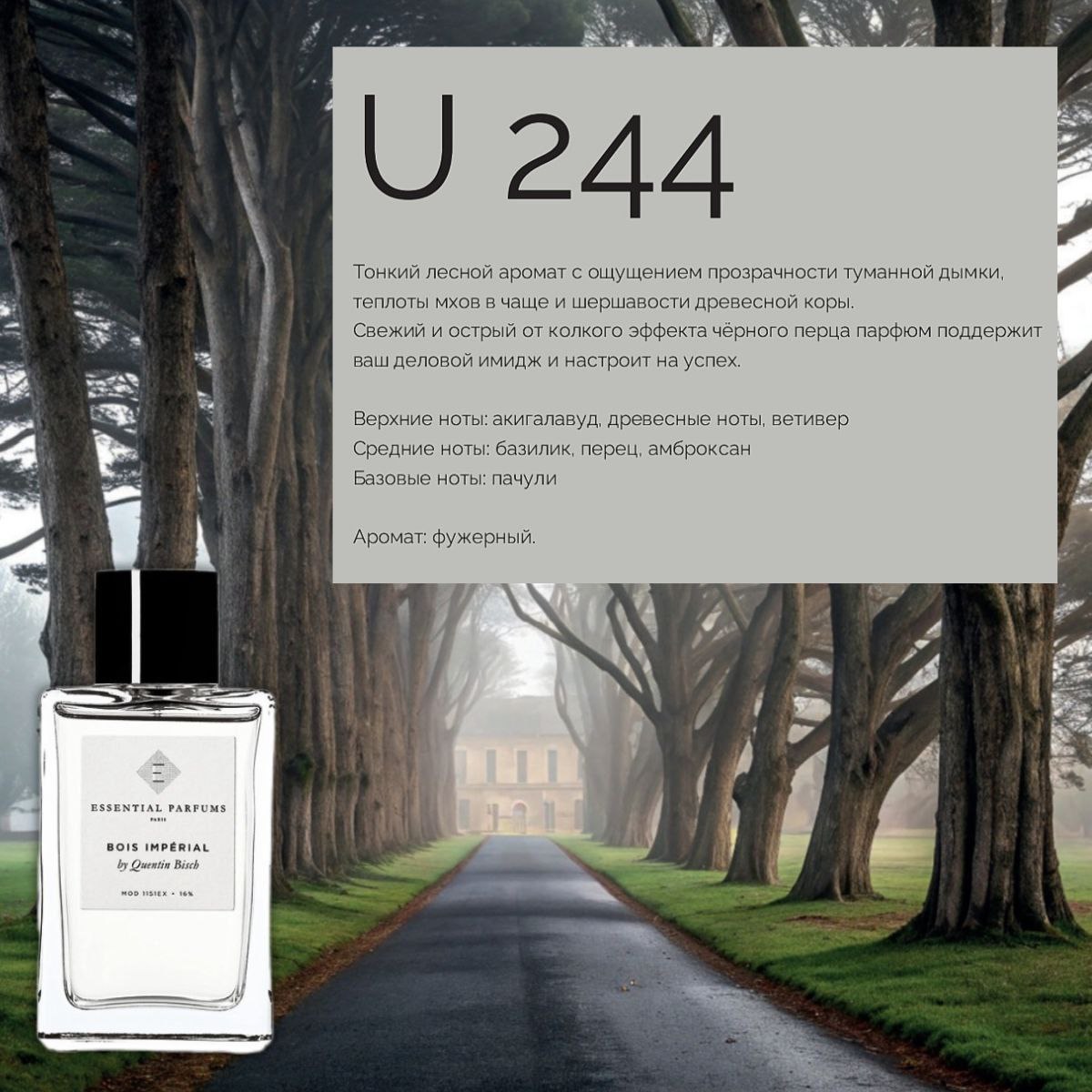 MARSO U 244