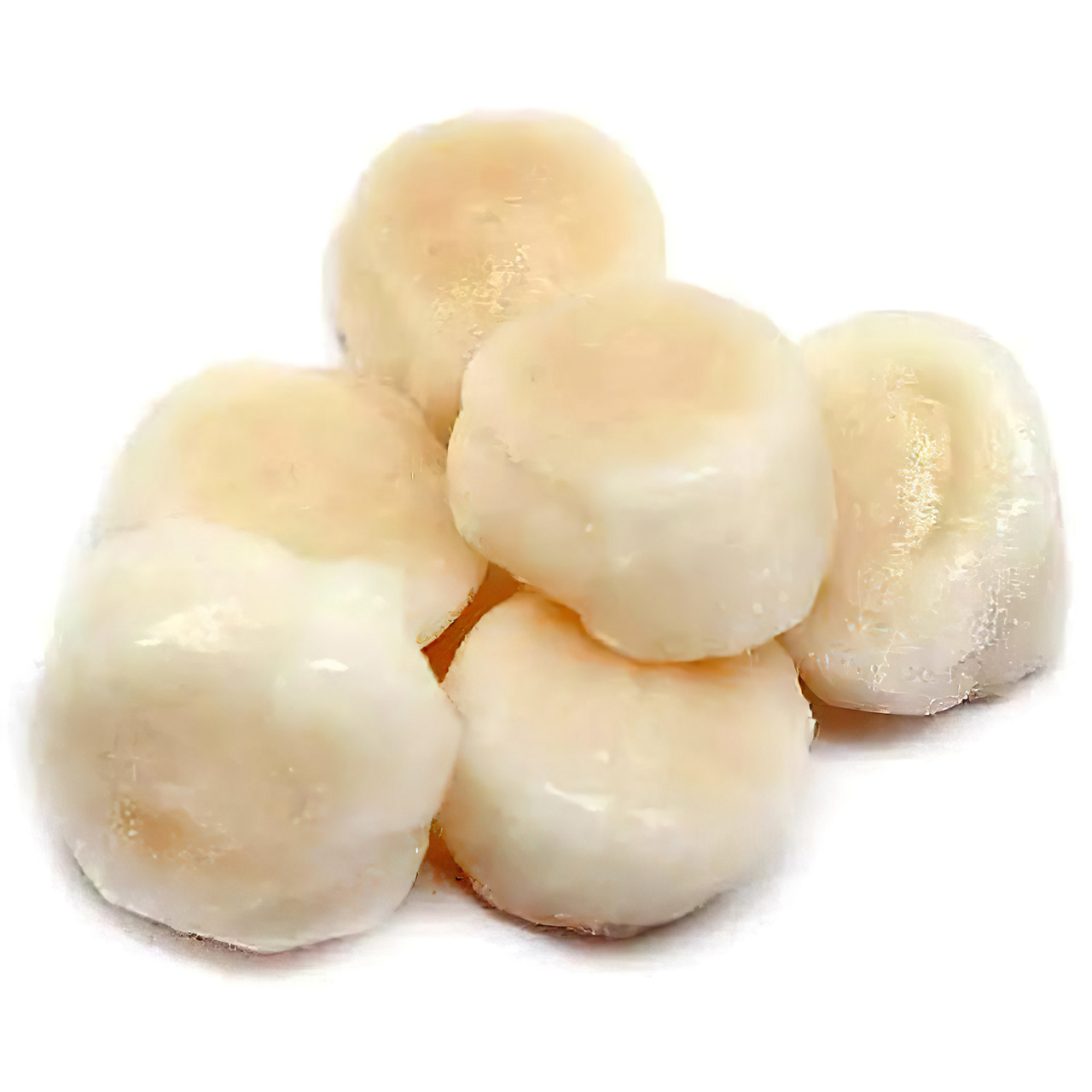 Филе морского гребешка. Гребешки ростов. Гребешок 10/20. Филе морского гребешка 500гр. Морской гребешок приморский.