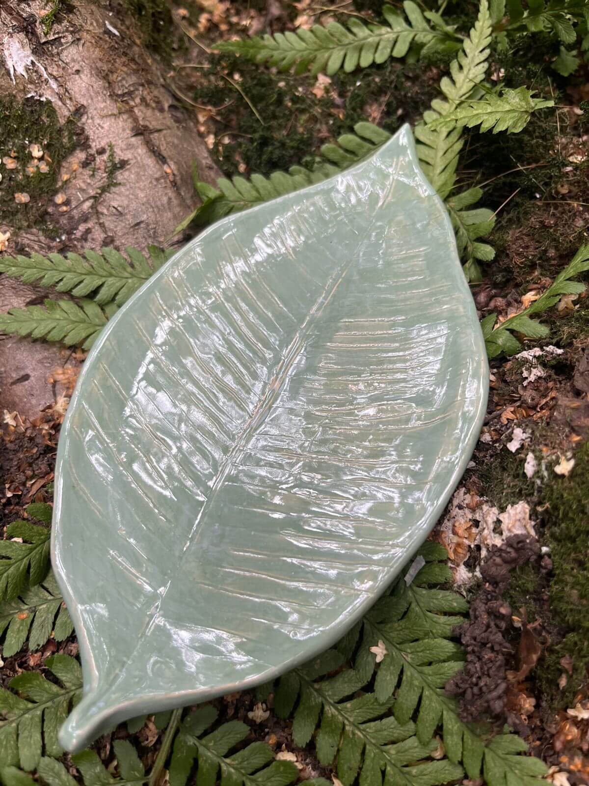 Тарелки с листочками. Тарелки в виде листьев. Тарелка лист. Тарелка в виде листика стекло. Тарелка лист.