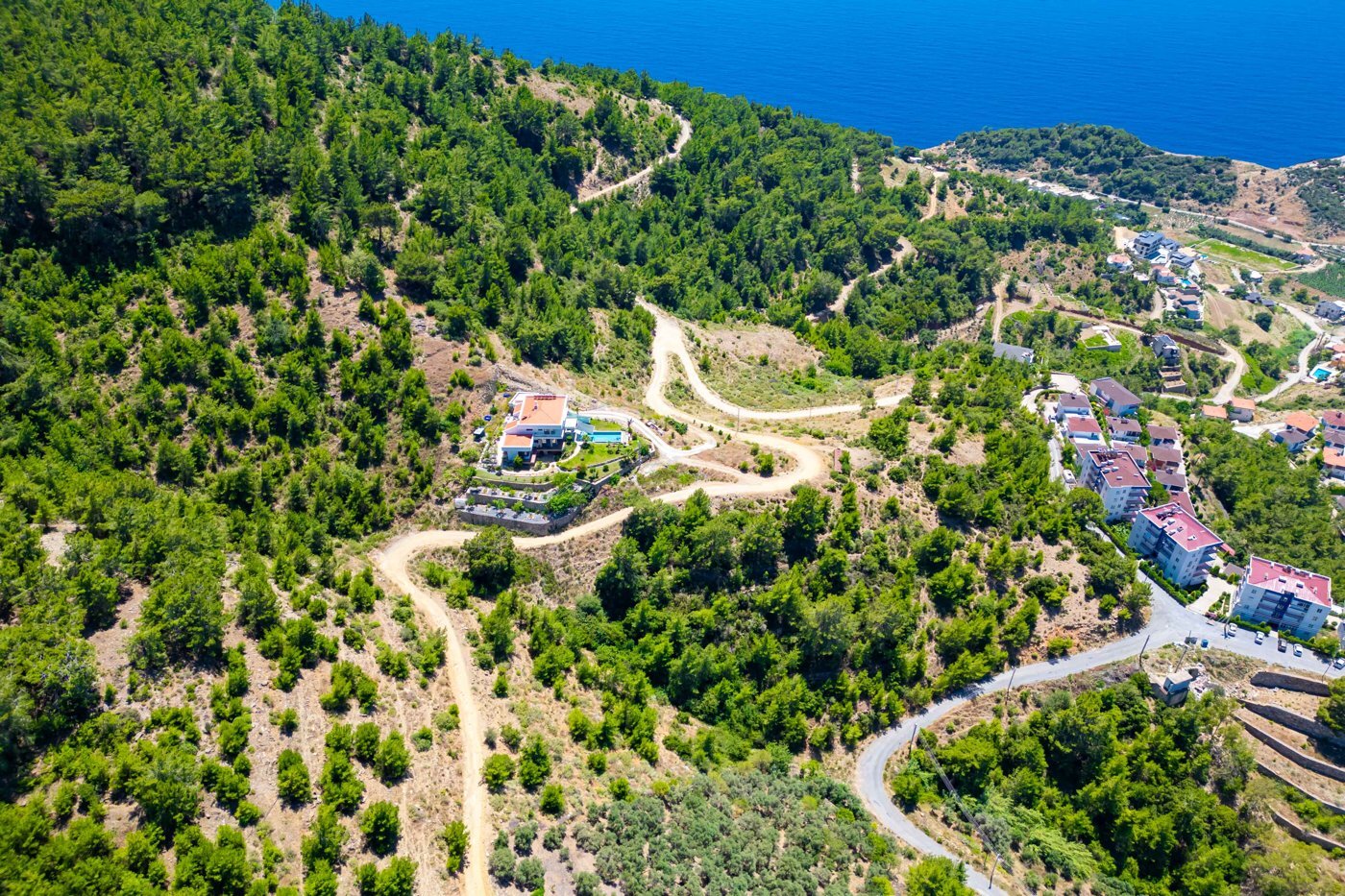 Koru 1159-15 · 2875 m² — zdjęcie 5