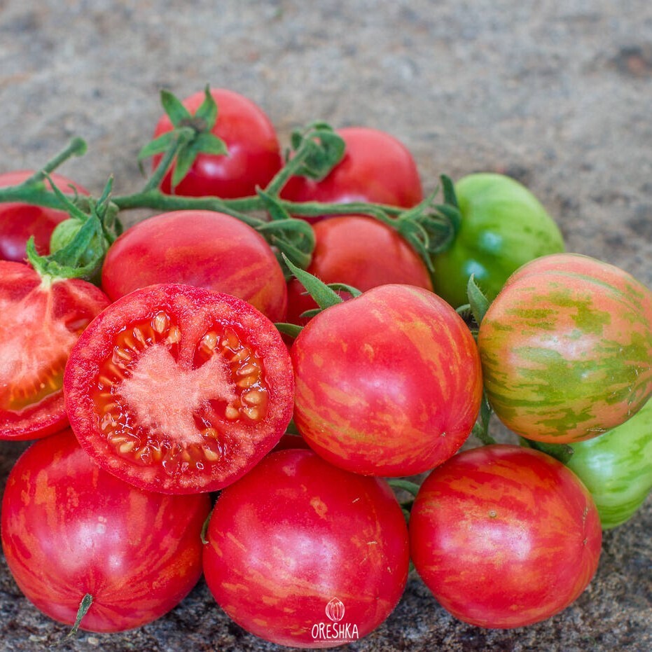 Seeds of Tomato Strawberry Tiger (solanum lycopersicum) — 10 pcs