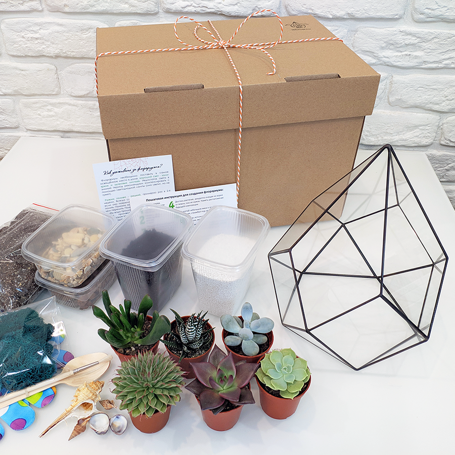 Набор для создания флорариума Кристалл L