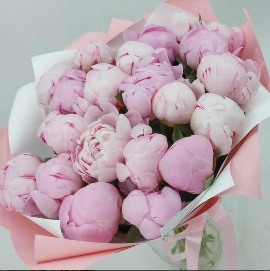 Пионы Цветы Купить Казань