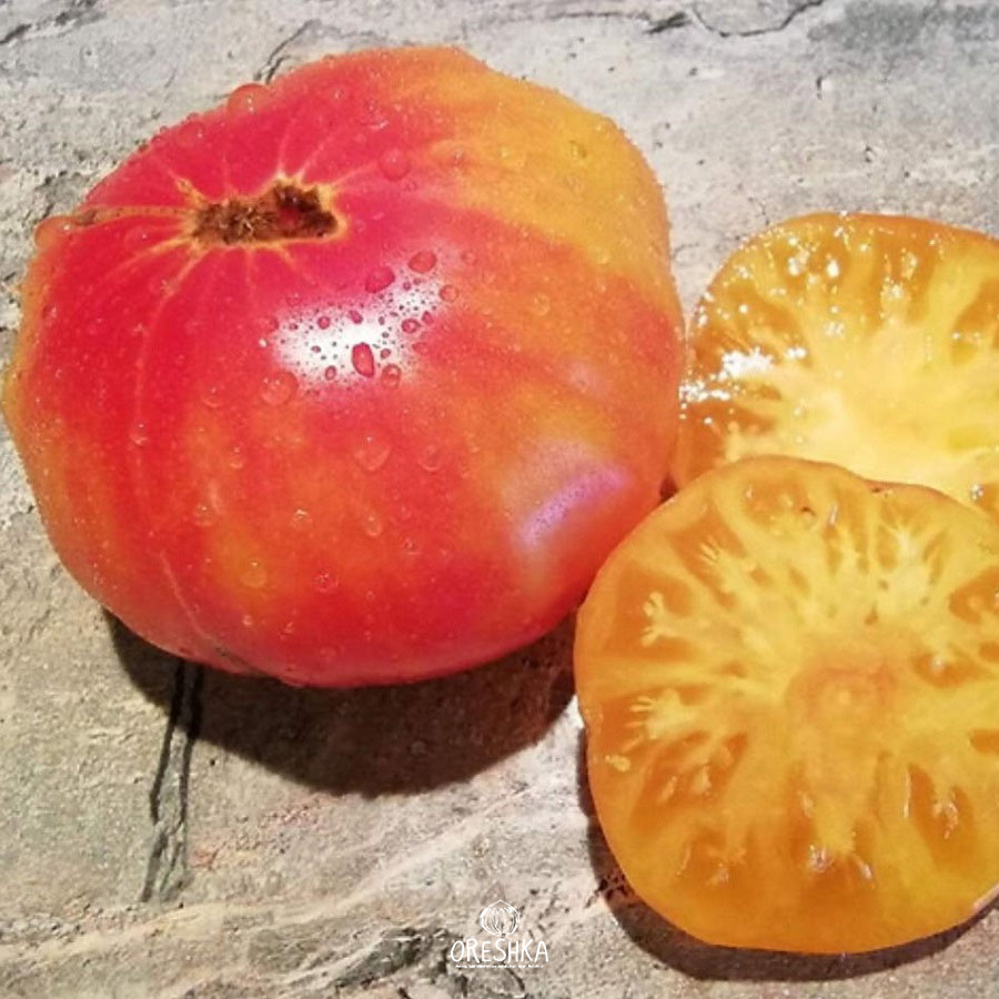 Seeds of Tomato Big Arcobaleno (solanum lycopersicum) — 10 pcs