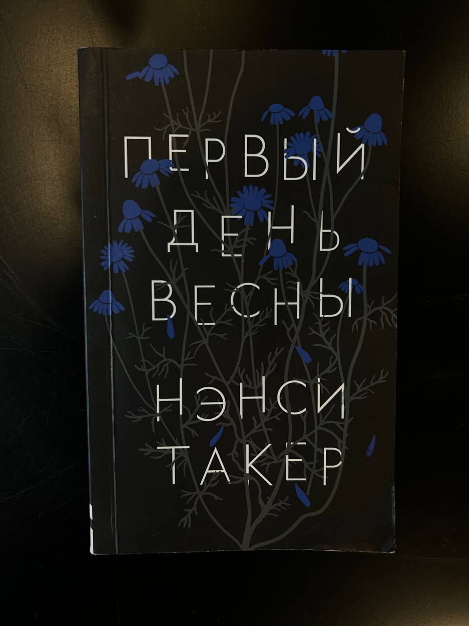 "Первый день весны" Нэнси Такер