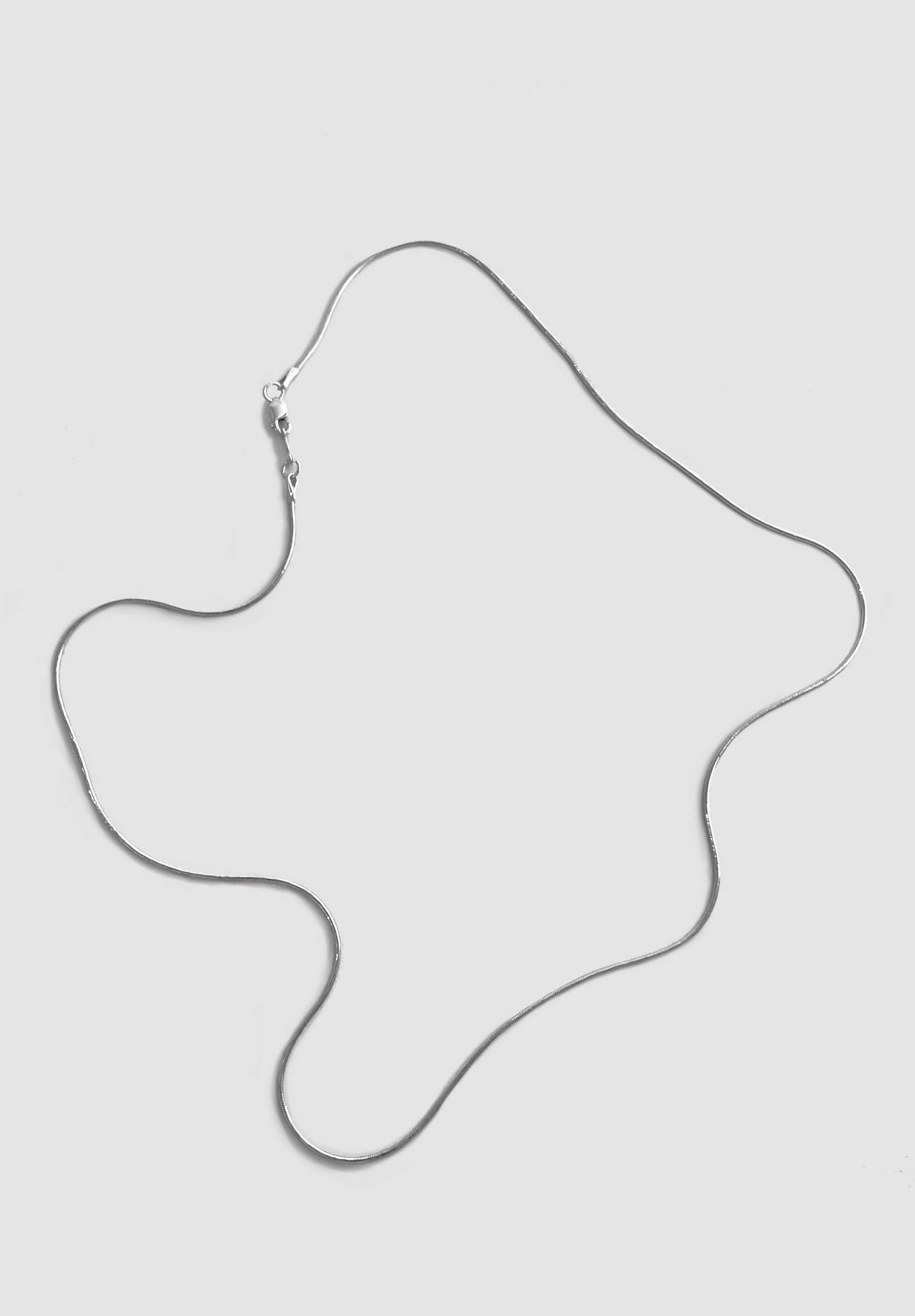 Мышка генетики в. Пищевая цепочка грызуны. Кулон bat gates. Подвеска крыса. Alchemy gothic кулон regalius.