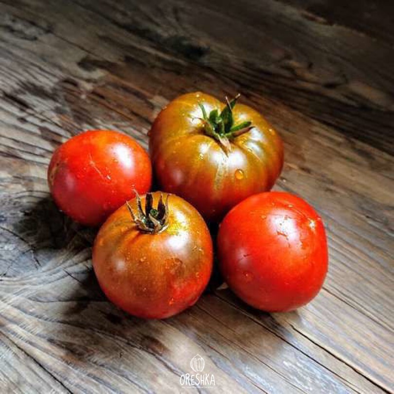 Seeds of Tomato Dwarf Cardinal Maura (solanum lycopersicum)
