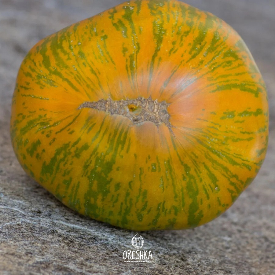 Seeds of Tomato Kozula 179 (solanum lycopersicum) — 10 pcs