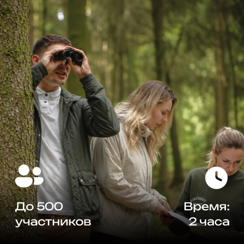 Выездной квест для команды