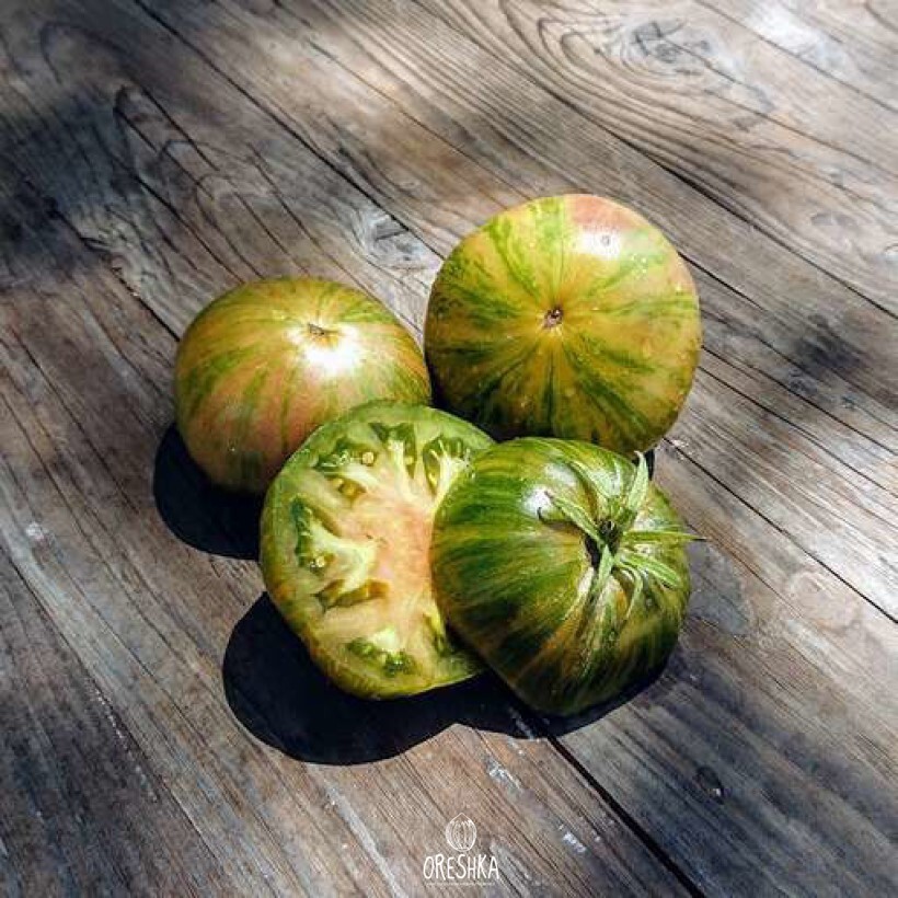 Seeds of Tomato Kozula 25 (solanum lycopersicum) — 10 pcs