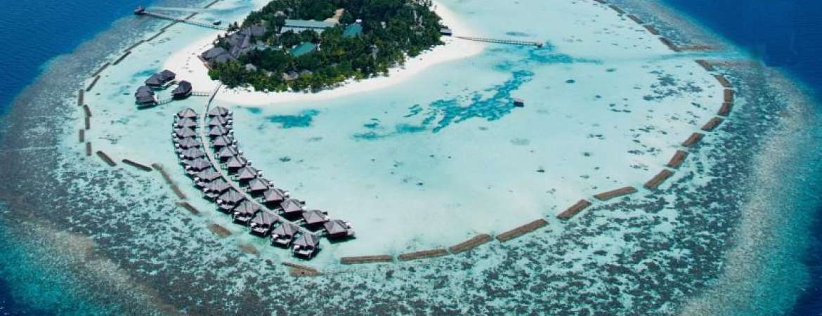 Cinnamon velifushi. Тадж экзотика мальдивы. Мальдивы тур 2024. Лавиани мальдивы. Nova maldives.