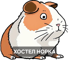 Норка