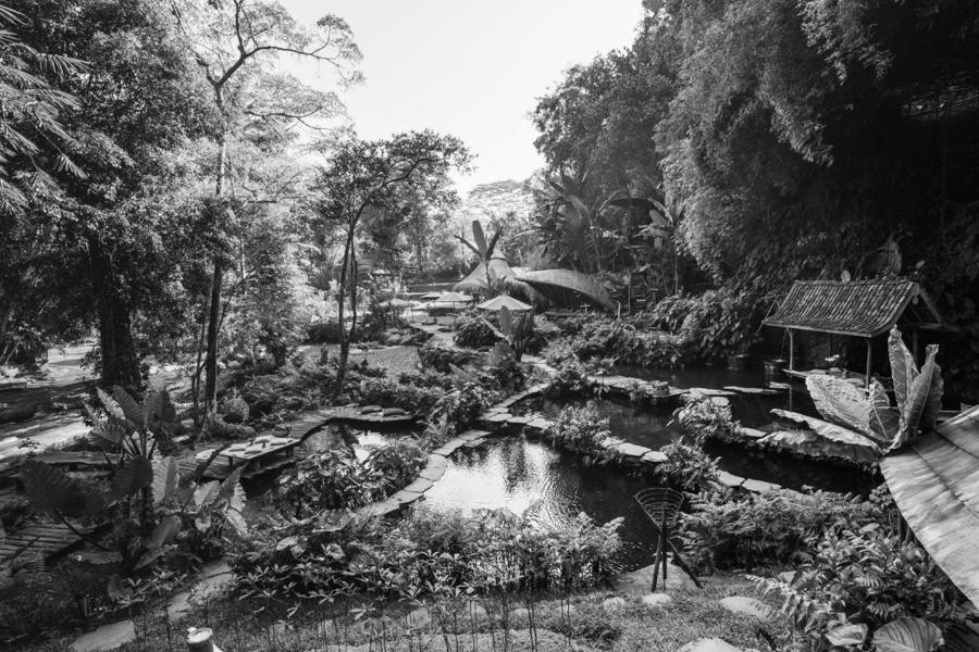 Bambu Indah