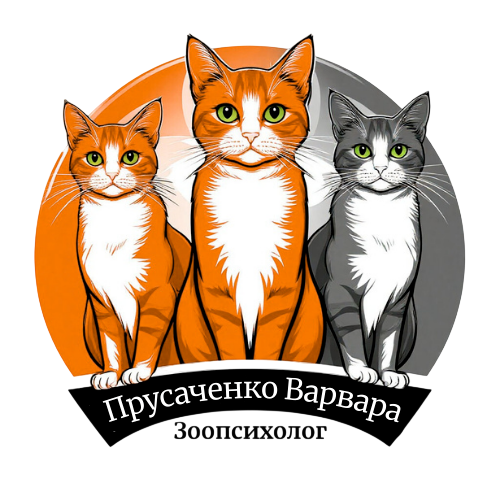  Варвара Прусаченко Зоопсихолог, специалист по гуманной коррекции поведения кошек 