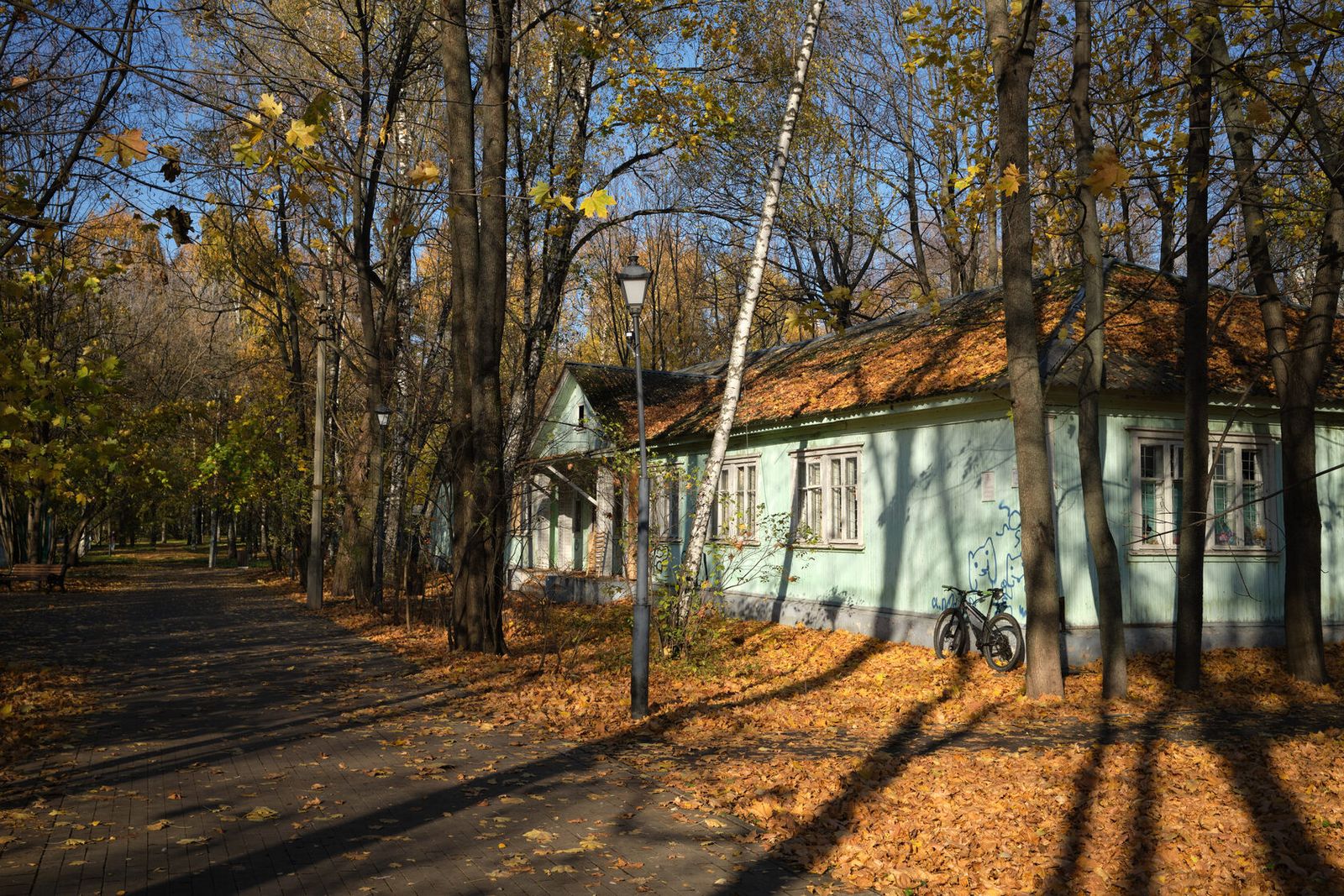 Аллея парка «Берёзовая роща» и старый одноэтажный дом среди деревьев, у стены велосипед