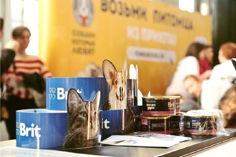 Корм Брит Премиум на фестивале
