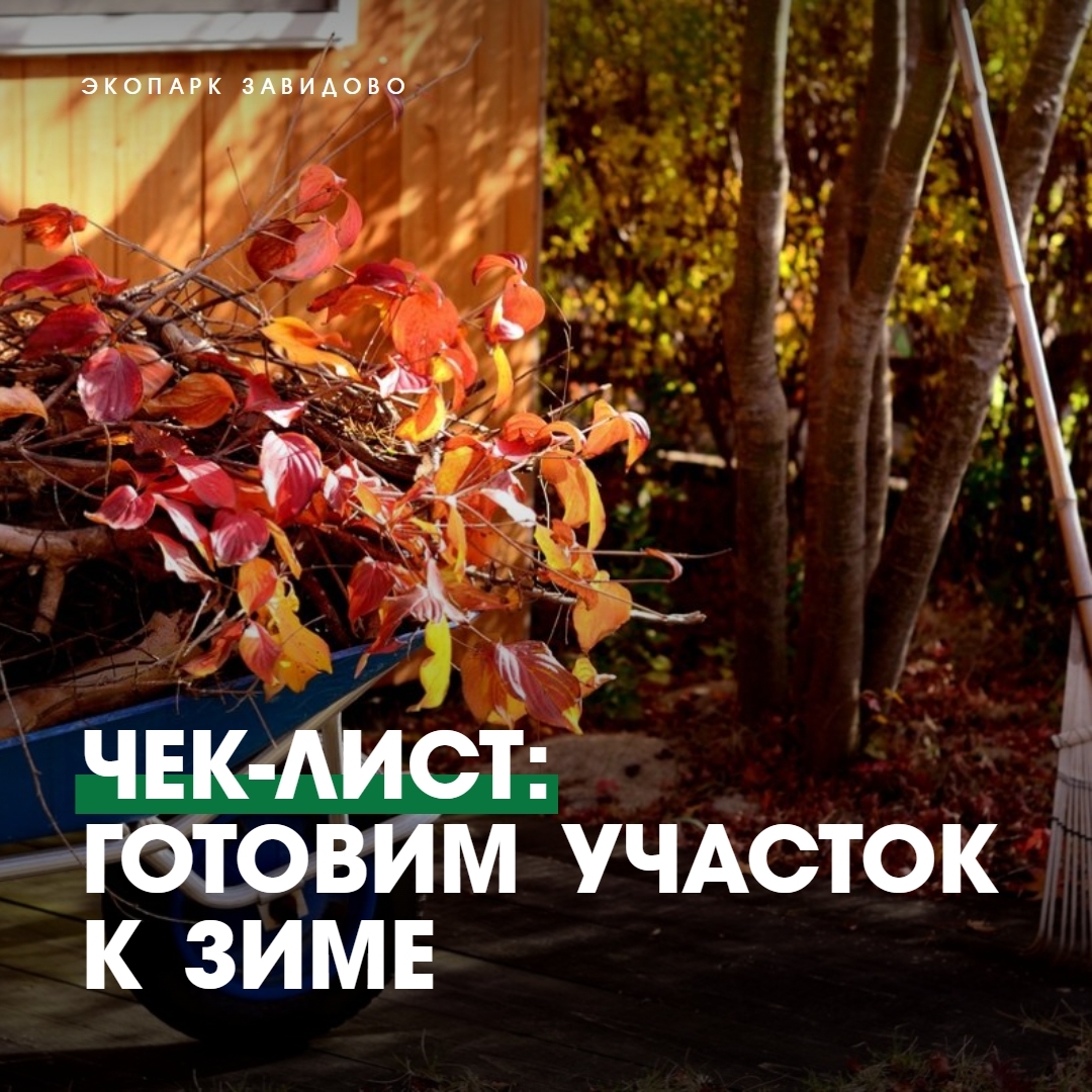 Чек-лист: готовим участок к зиме