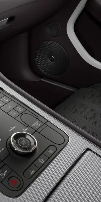 Салон Continental GT Mulliner