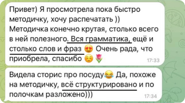 Отзыв ученика, скриншот переписки 11