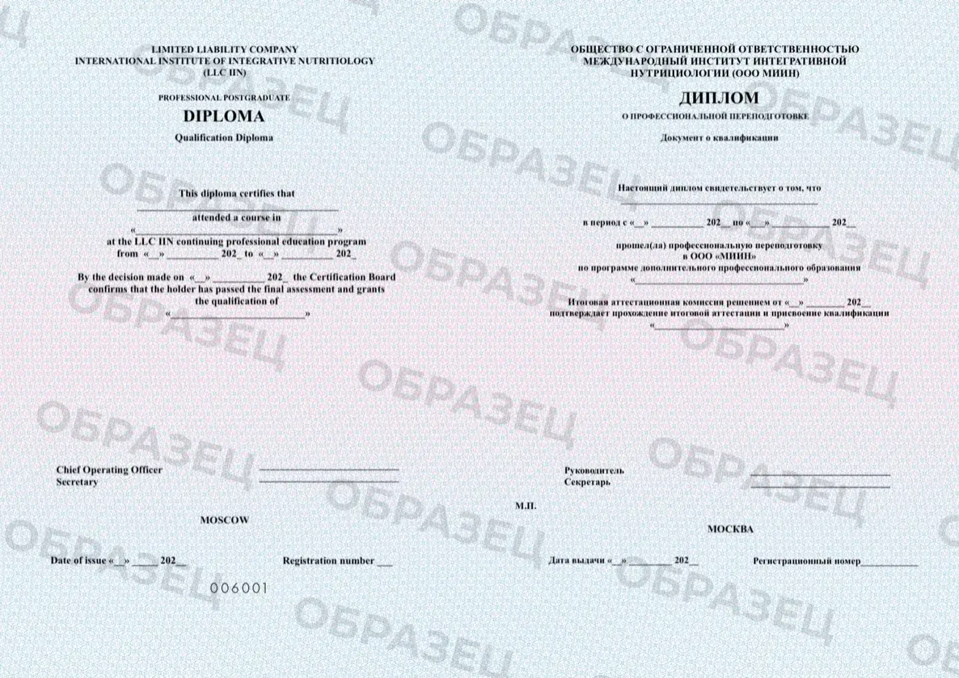 Образец: Диплом о профессиональной переподготовке