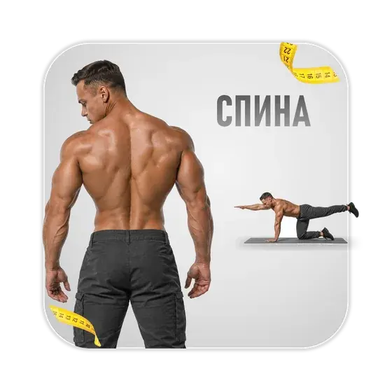 Здоровая спина