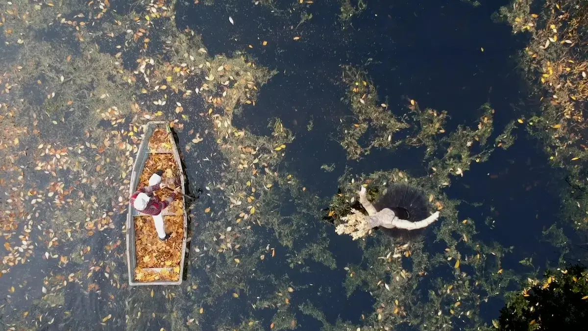 October: the boat among the swans; filming. Kinetic sculpture by Konstantin Grouss