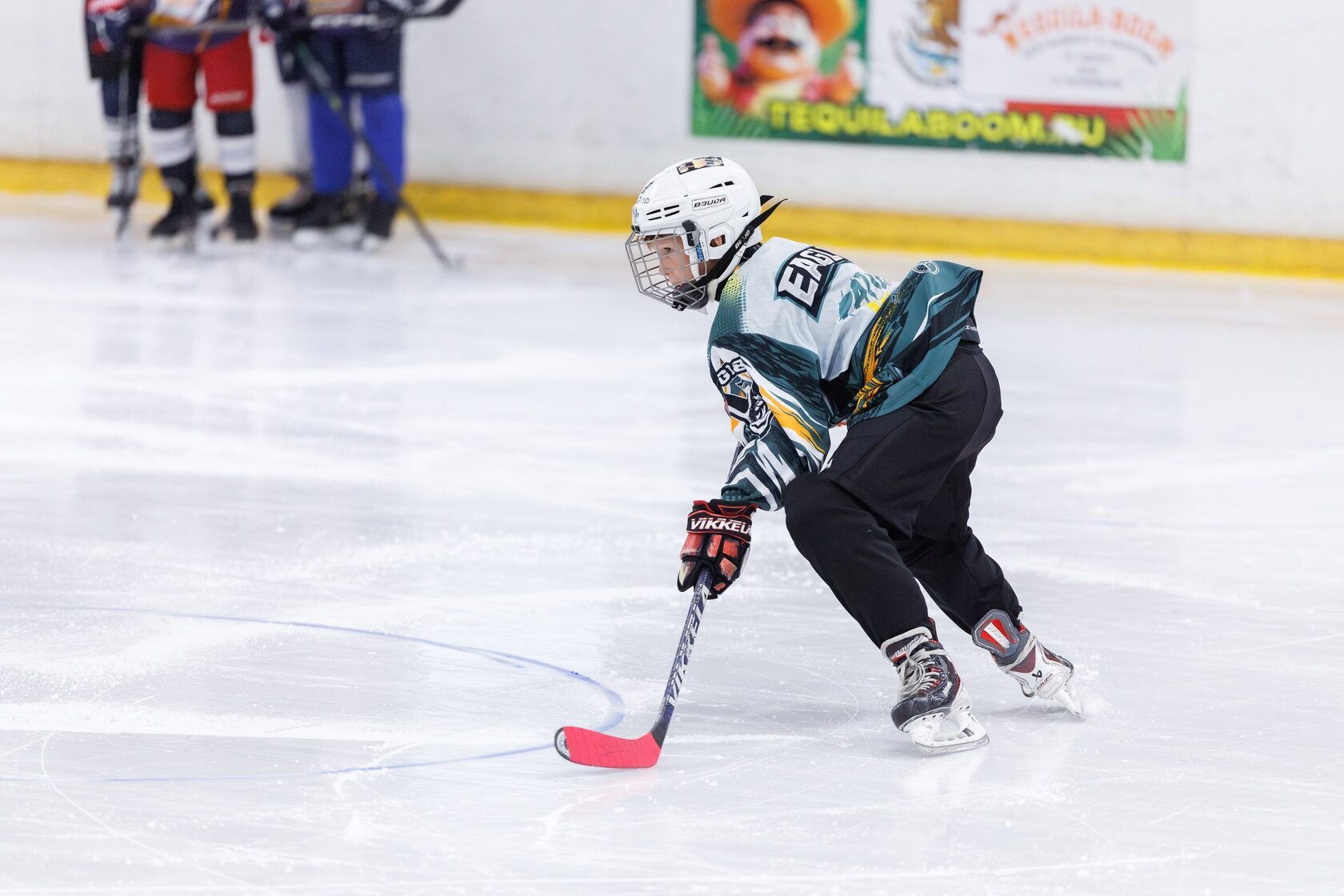 Игрок Eagles с клюшкой и перчатками Vikkela