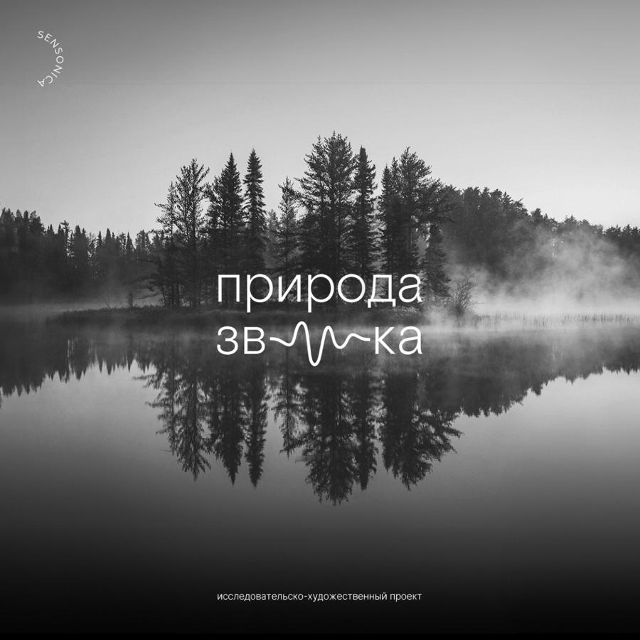 Природа звука