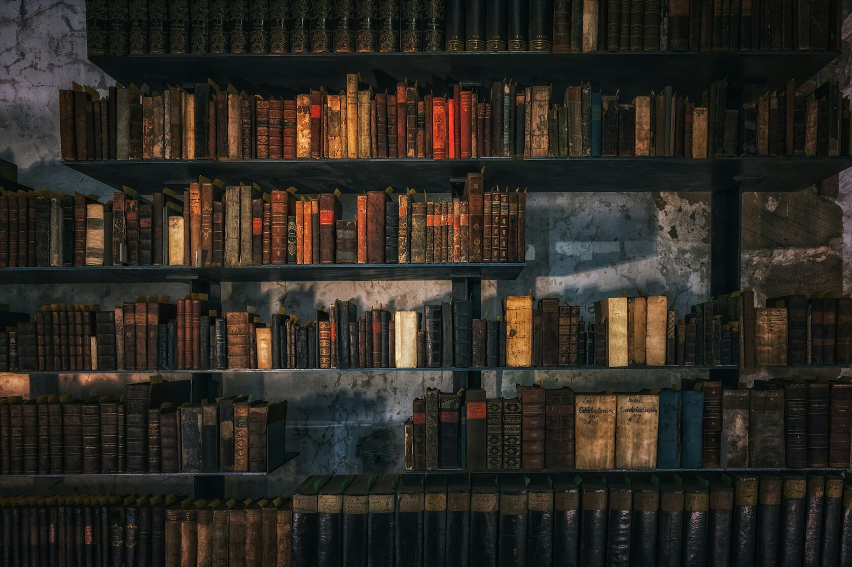 Книжные полки библиотеки
