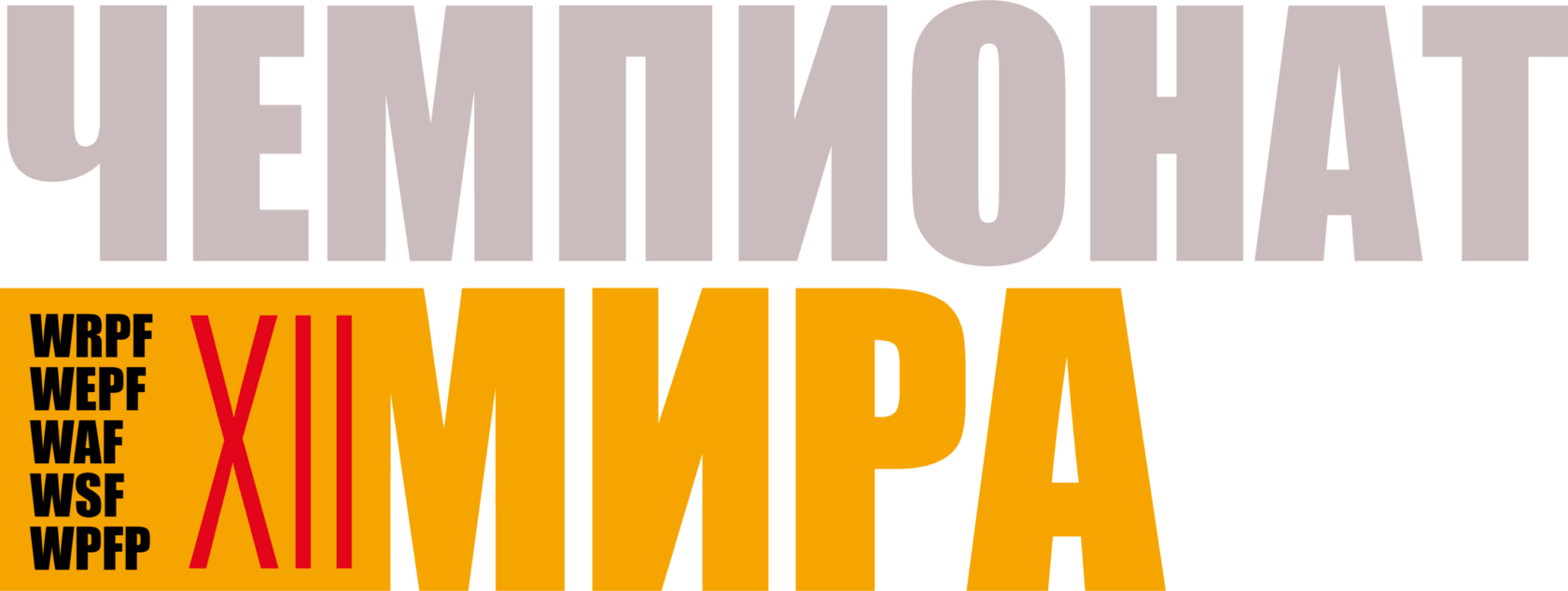 XII чемпионат мира