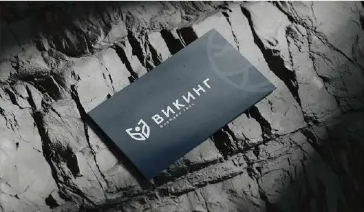 Викинг — графический дизайн, изображение 8