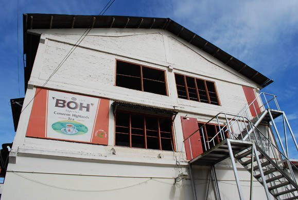 Производственное здание BOH в Камерон-Хайлендс
