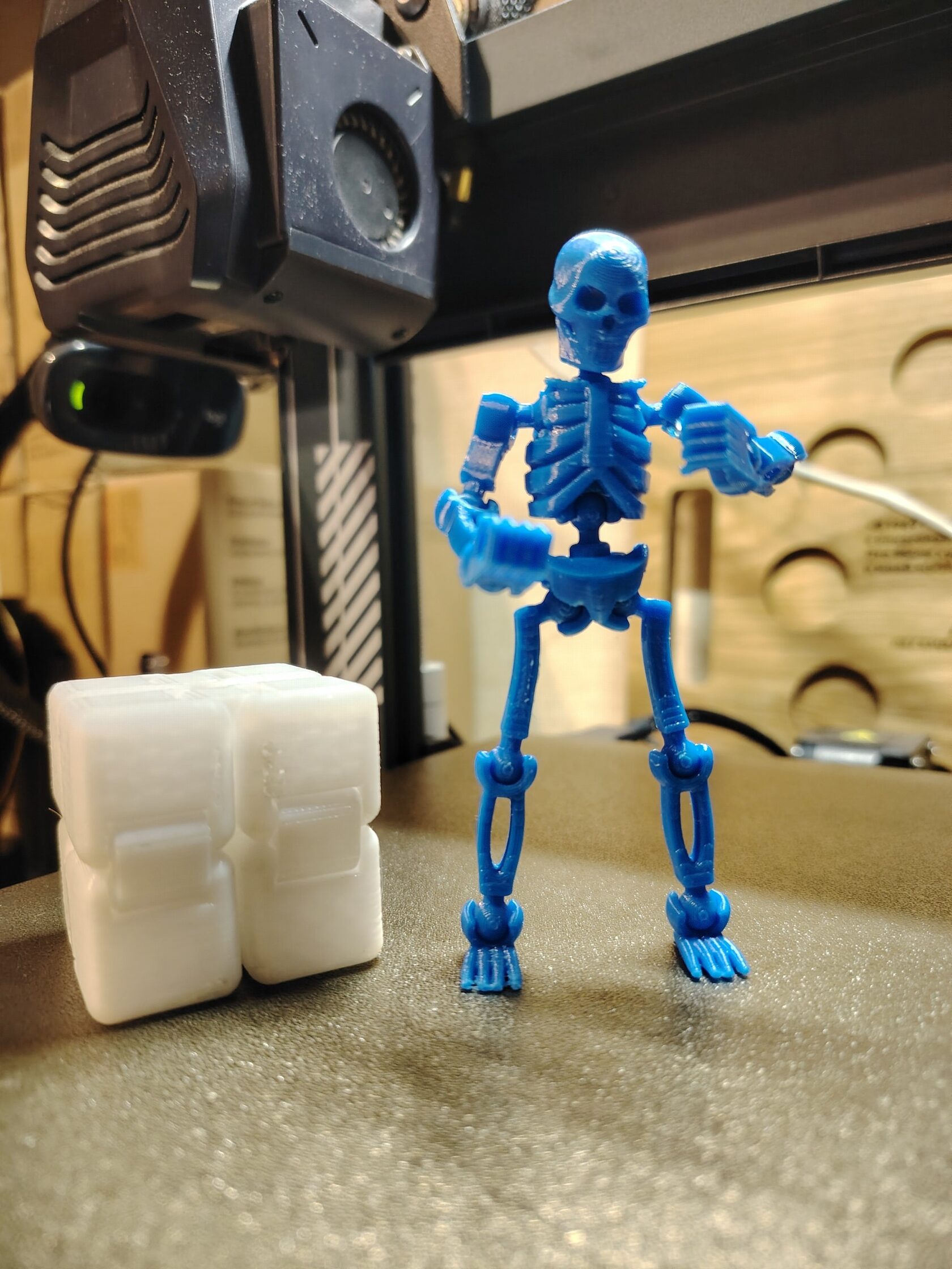 Скелет и кубик — работа инклюзивной 3D-мастерской