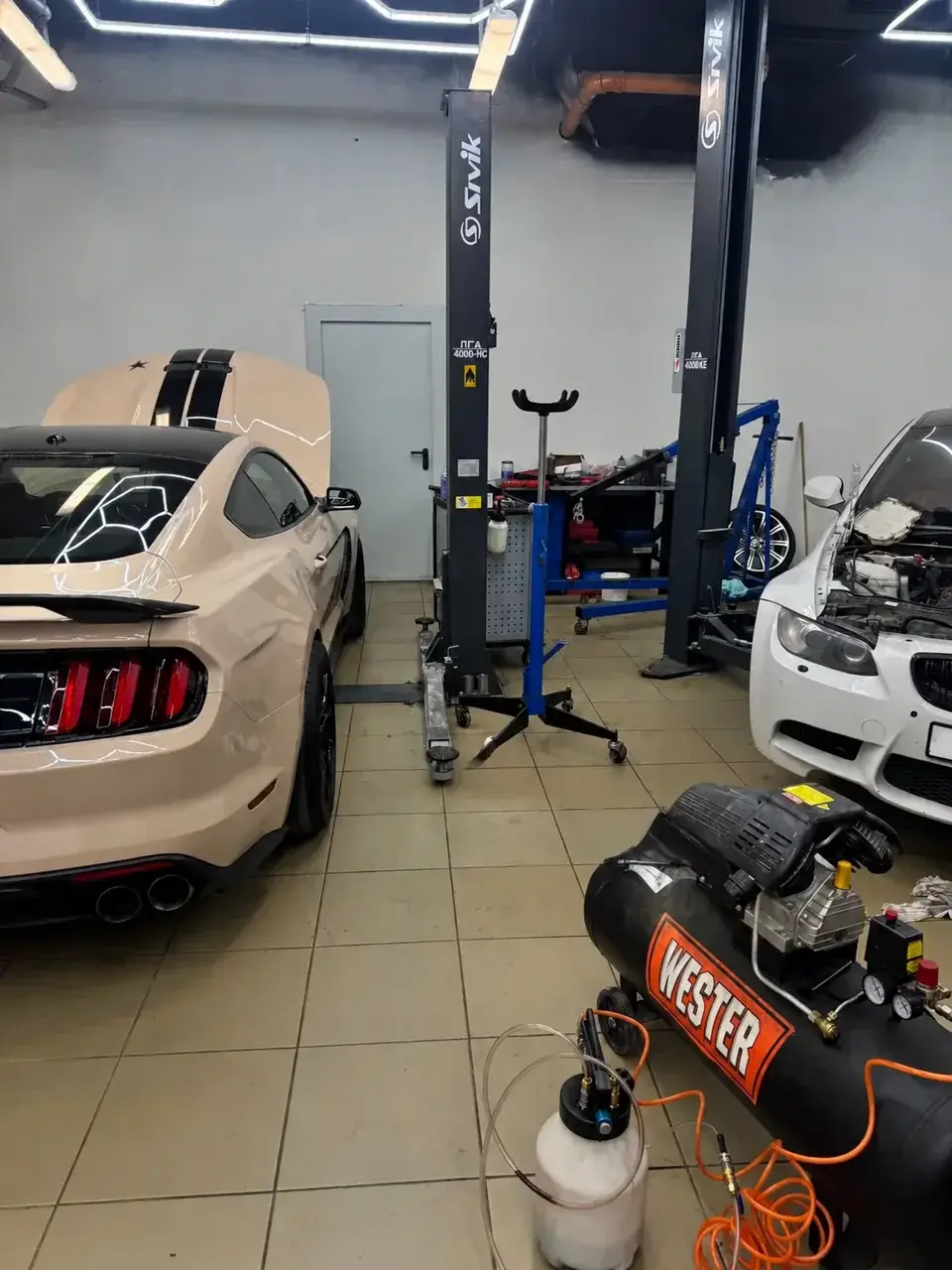 Ford Mustang и BMW в мастерской