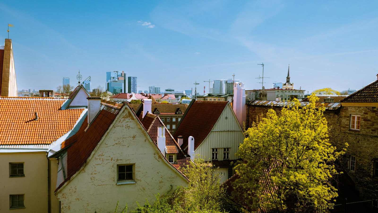 Old Town rooftops in Tallinn with the glass towers of the city centre business district behind them