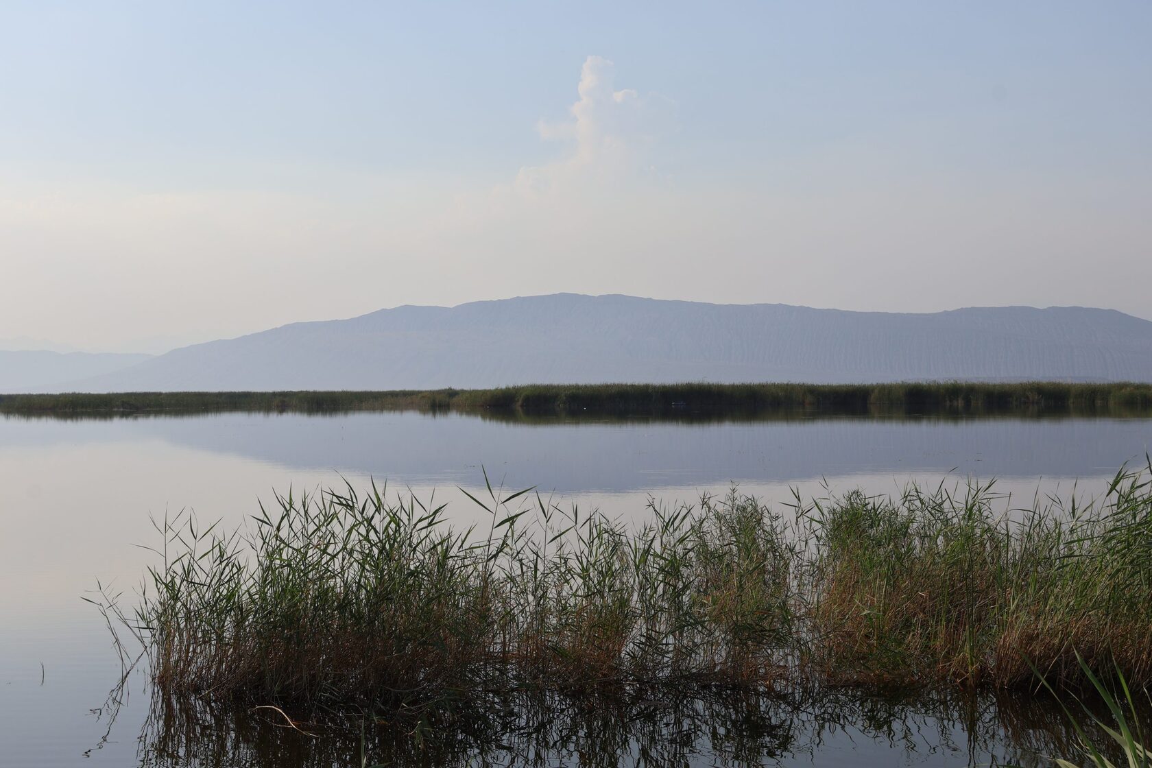 Sariqamish Master Plan: Ecotourism Development in Uzbekistan