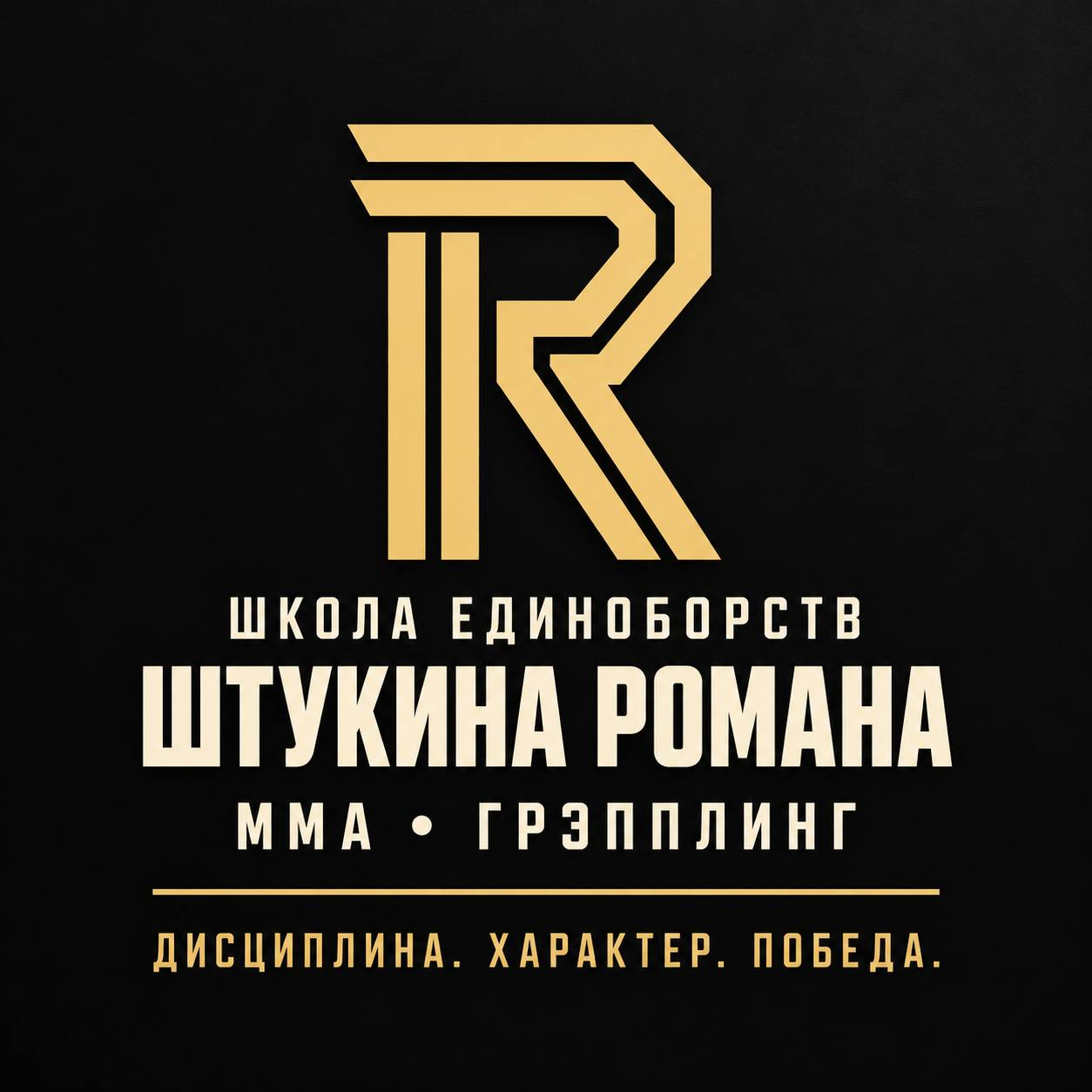  Школа смешанных единоборств 
