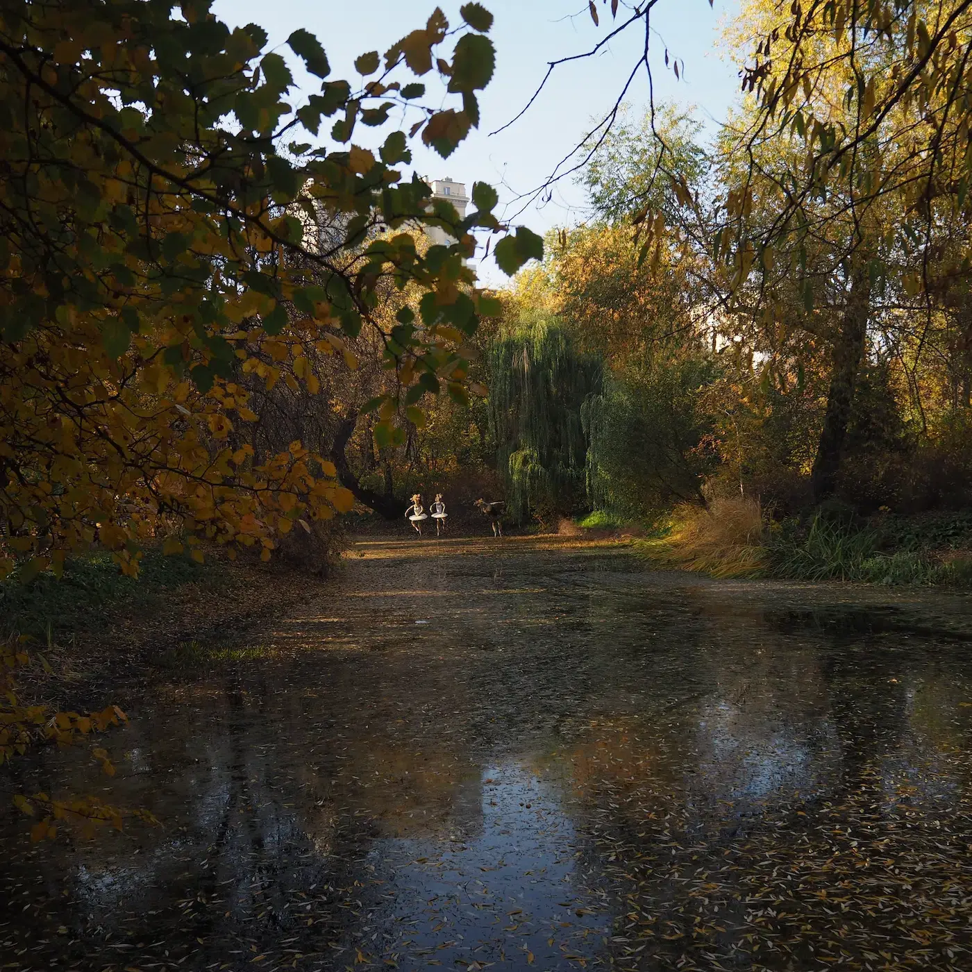 Autumn: the pond fills with rain again. Kinetic sculpture by Konstantin Grouss