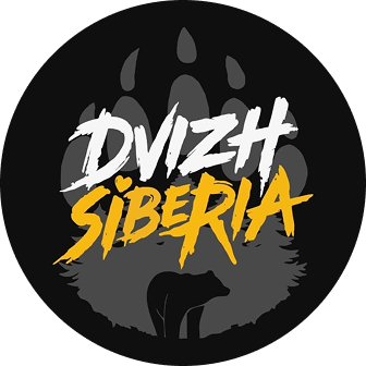 Логотип DVIZH PARKING